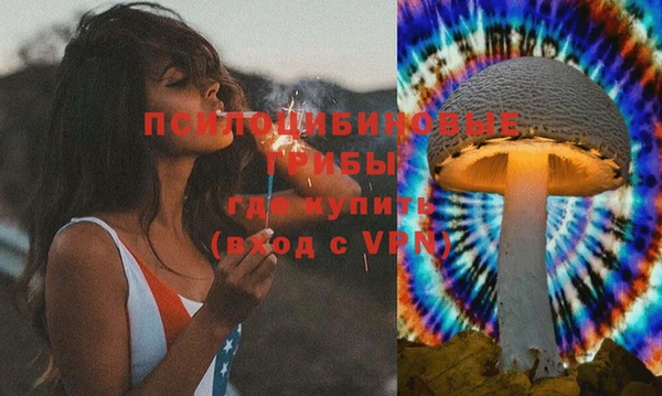 герыч Бородино